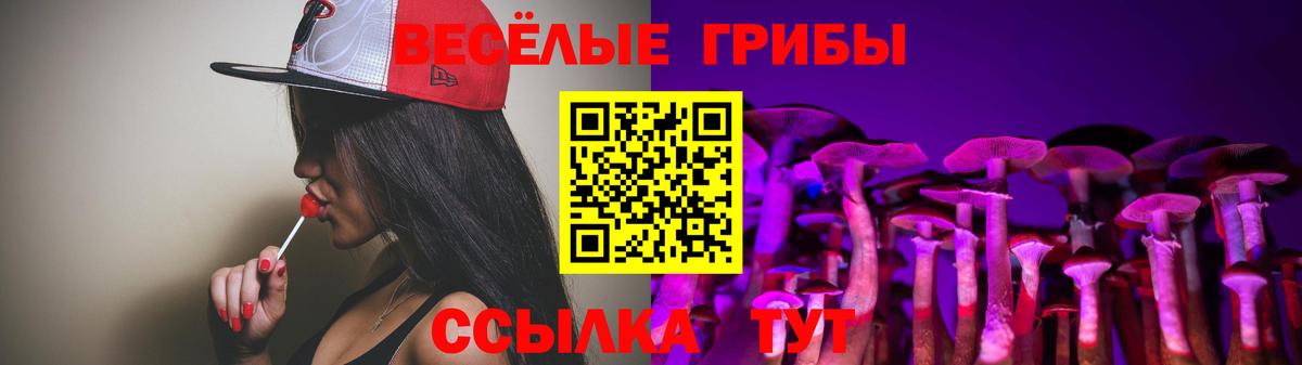 Галлюциногенные грибы Cubensis  Вход с VPN  Гагарин 